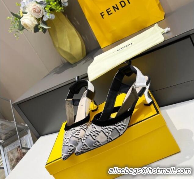 Top Quality Fendi Colibri Karligraphy Slingback Pumps 6cm in Mesh and Embroidery 111613 Grey