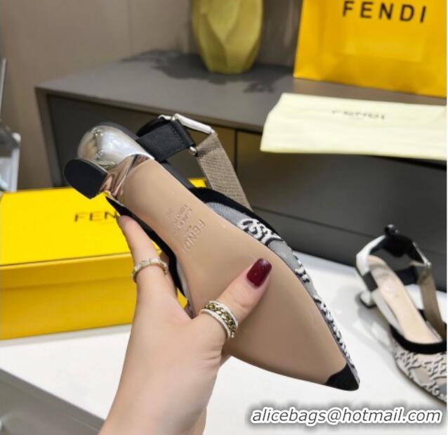 Top Quality Fendi Colibri Karligraphy Slingback Pumps 6cm in Mesh and Embroidery 111613 Grey