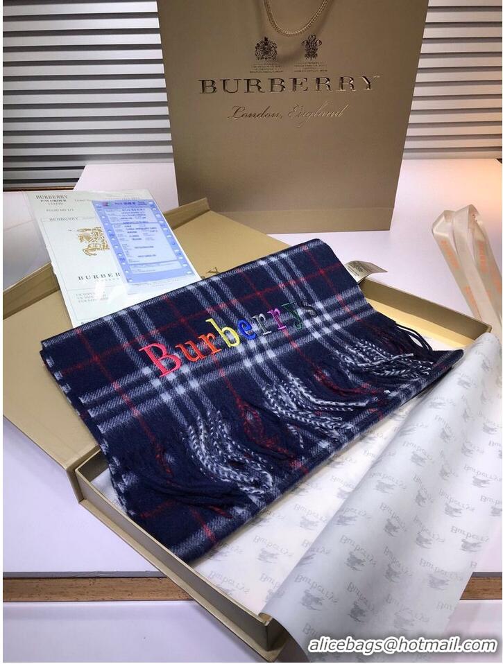 Unique Discount Burberry Scarf B00239