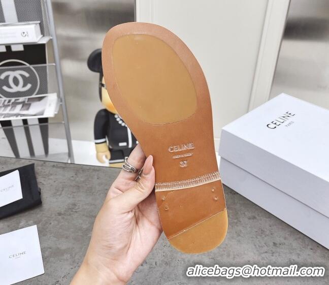 Top Quality Celine Triomphe Canvas Slide Sandals 060836 Brown