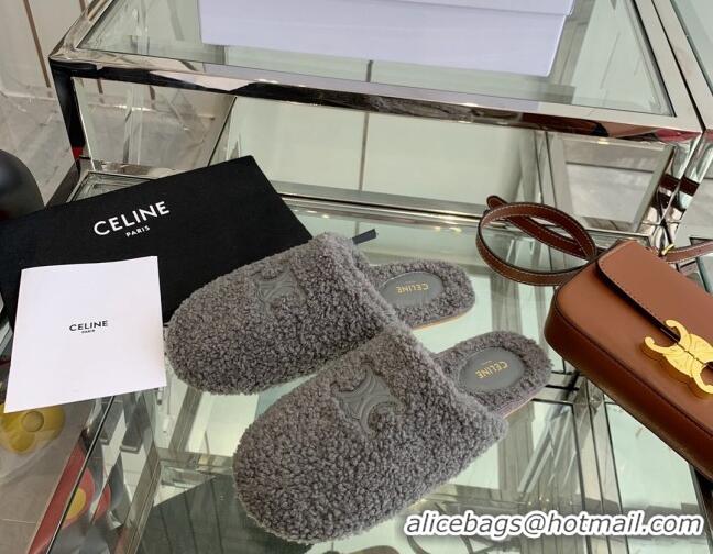 Most Popular Celine Shearling Flat Mules 121502 Grey