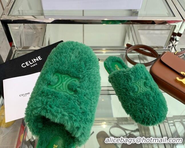 Unique Grade Celine Shearling Flat Mules 121502 Green