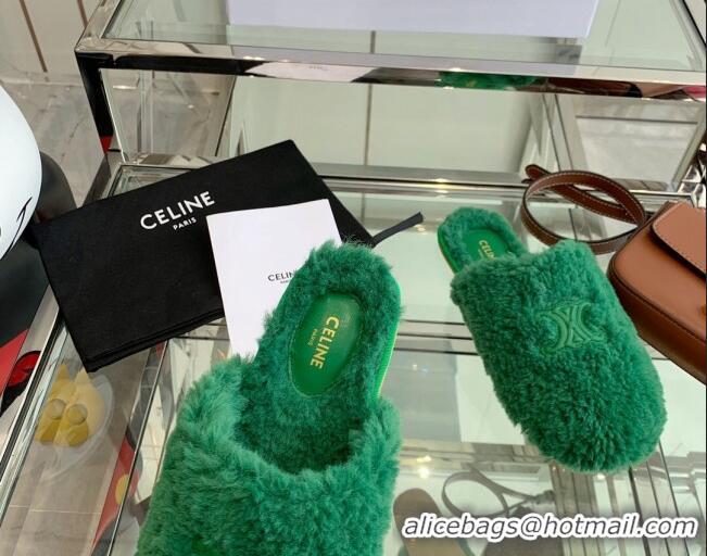 Unique Grade Celine Shearling Flat Mules 121502 Green