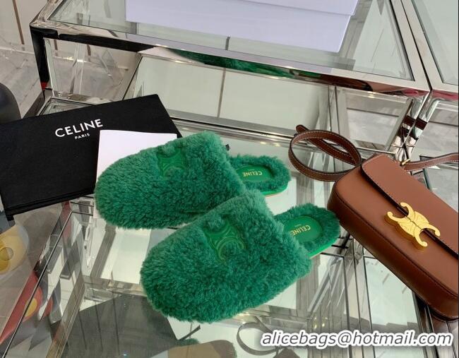 Unique Grade Celine Shearling Flat Mules 121502 Green