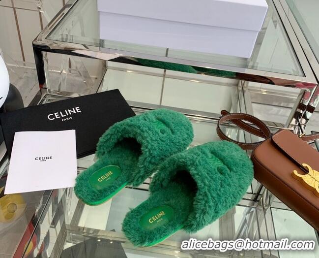 Unique Grade Celine Shearling Flat Mules 121502 Green