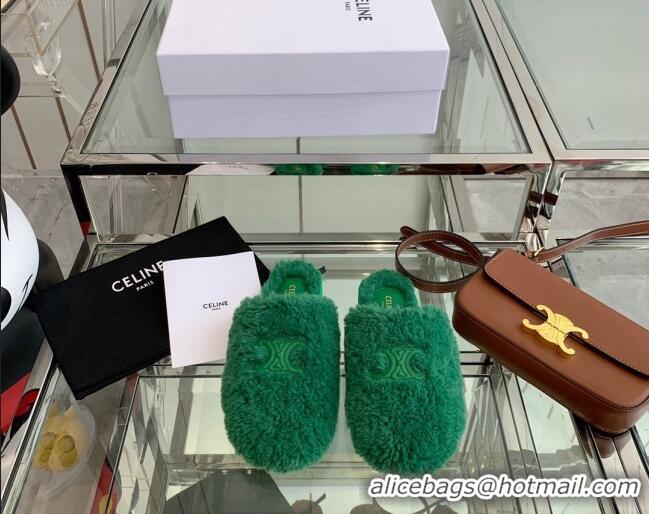 Unique Grade Celine Shearling Flat Mules 121502 Green