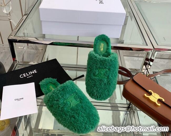 Unique Grade Celine Shearling Flat Mules 121502 Green