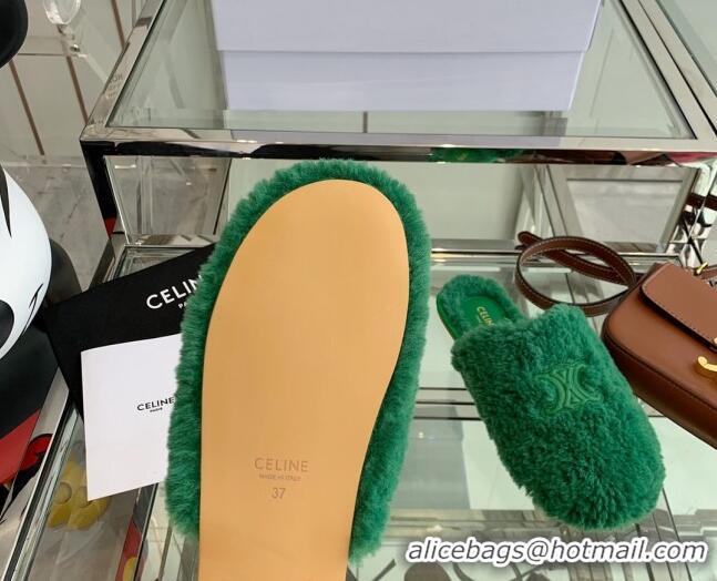 Unique Grade Celine Shearling Flat Mules 121502 Green