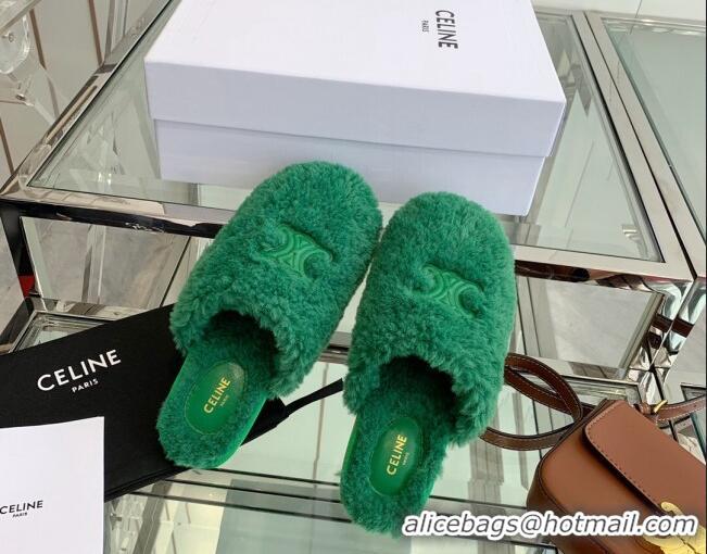 Unique Grade Celine Shearling Flat Mules 121502 Green