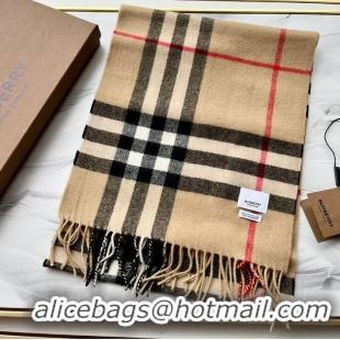 Traditional Specials Burberry Scarf B00241