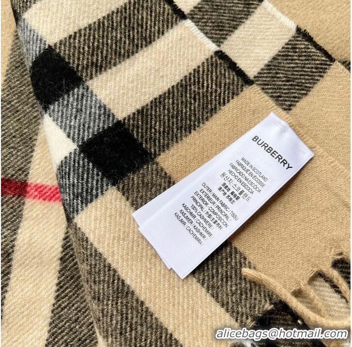 Traditional Specials Burberry Scarf B00241