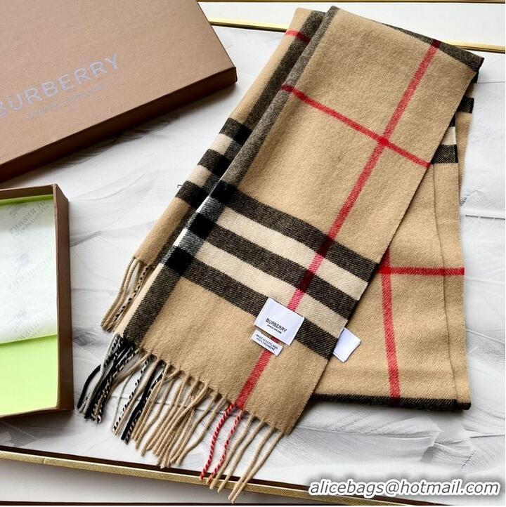 Traditional Specials Burberry Scarf B00241