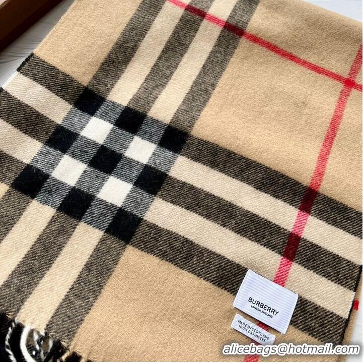 Traditional Specials Burberry Scarf B00241