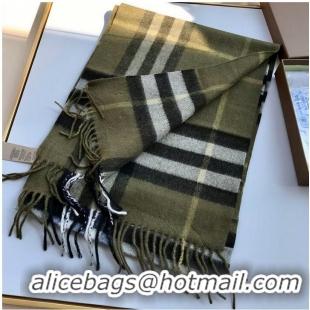 Good Taste Burberry Scarf B00249