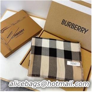 Well Crafted Inexpensive Burberry Scarf B00288