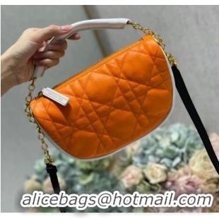 Pretty Style DIOR Shoulder Bag Cannage Lambskin C0617 orange