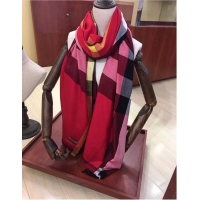 Unique Discount Burberry Scarf B00283