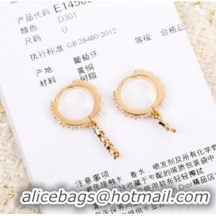 Fashion Discount Dior Earrings CE7299