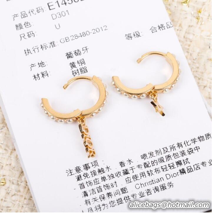 Fashion Discount Dior Earrings CE7299