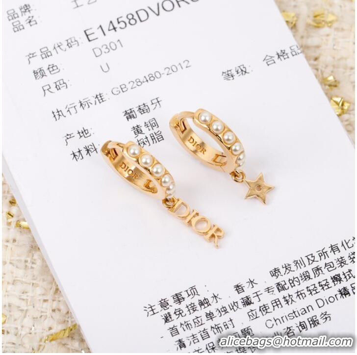 Fashion Discount Dior Earrings CE7299