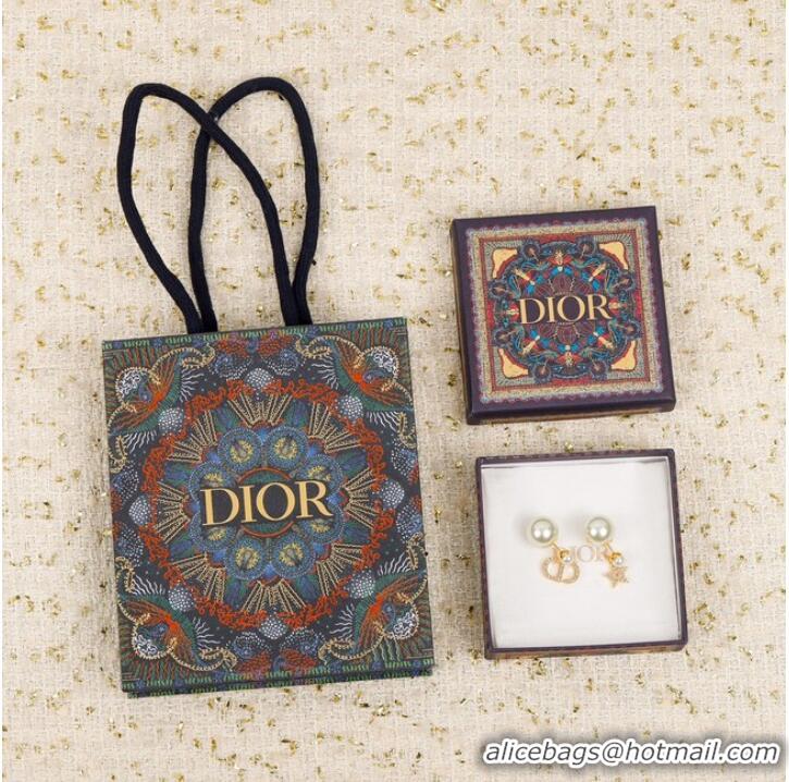 Buy Inexpensive Dior Earrings CE7300