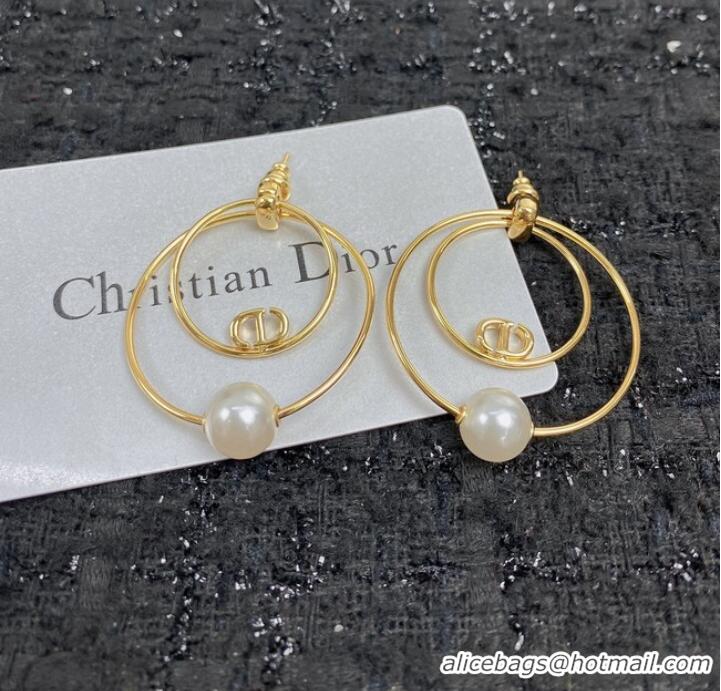 Grade Quality Inexpensive Dior Earrings CE7455