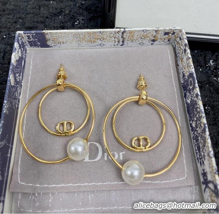 Grade Quality Inexpensive Dior Earrings CE7455