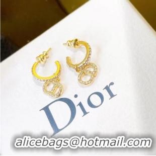 Newly Launched Discount Dior Earrings CE7464