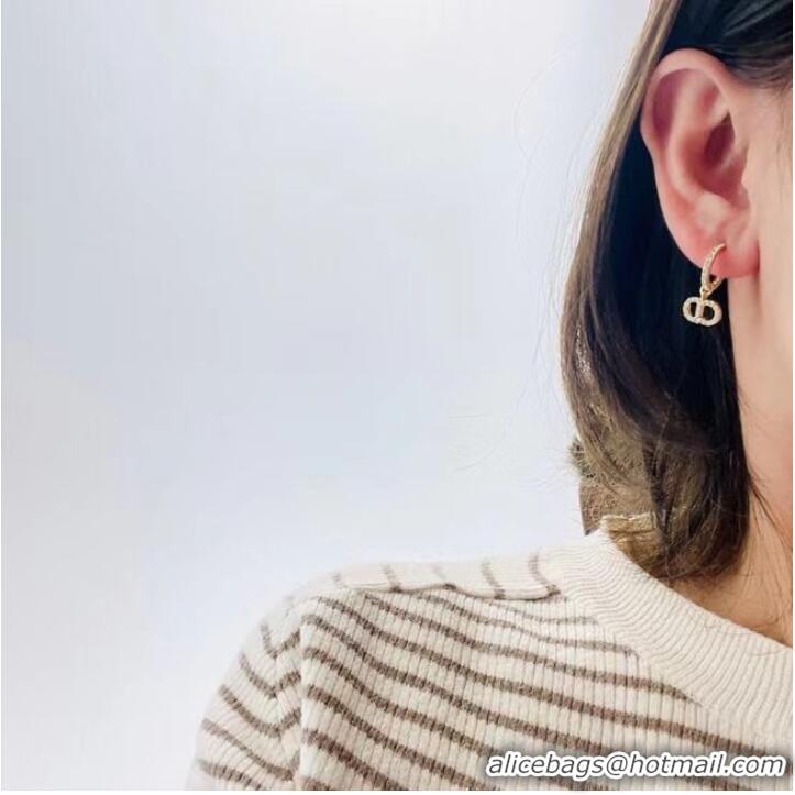 Newly Launched Discount Dior Earrings CE7464