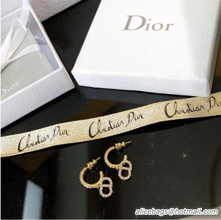 Newly Launched Discount Dior Earrings CE7464