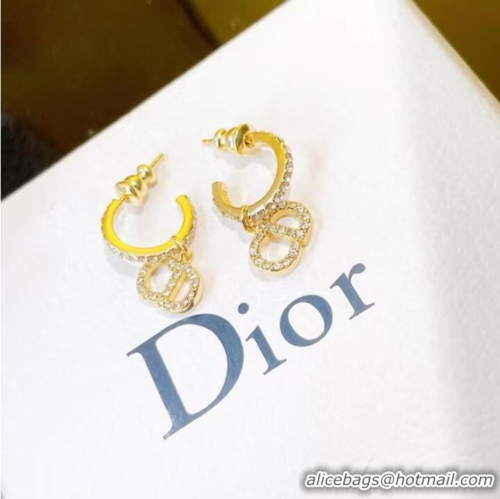 Newly Launched Discount Dior Earrings CE7464