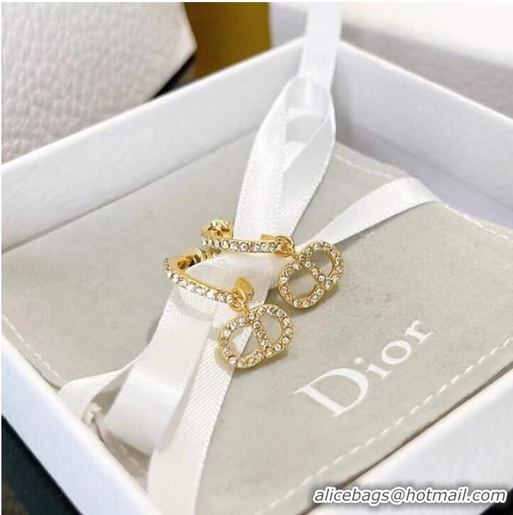 Newly Launched Discount Dior Earrings CE7464