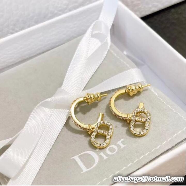 Newly Launched Discount Dior Earrings CE7464