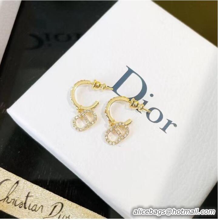 Newly Launched Discount Dior Earrings CE7464