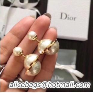 Top Quality Discount Dior Earrings CE7477