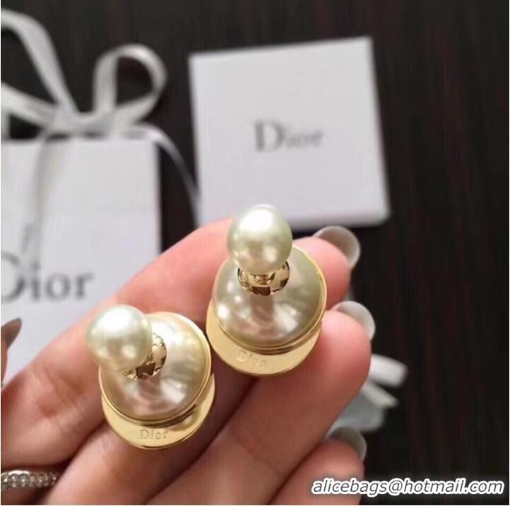 Top Quality Discount Dior Earrings CE7477