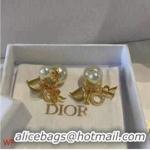 Top Grade Dior Earrings CE7501