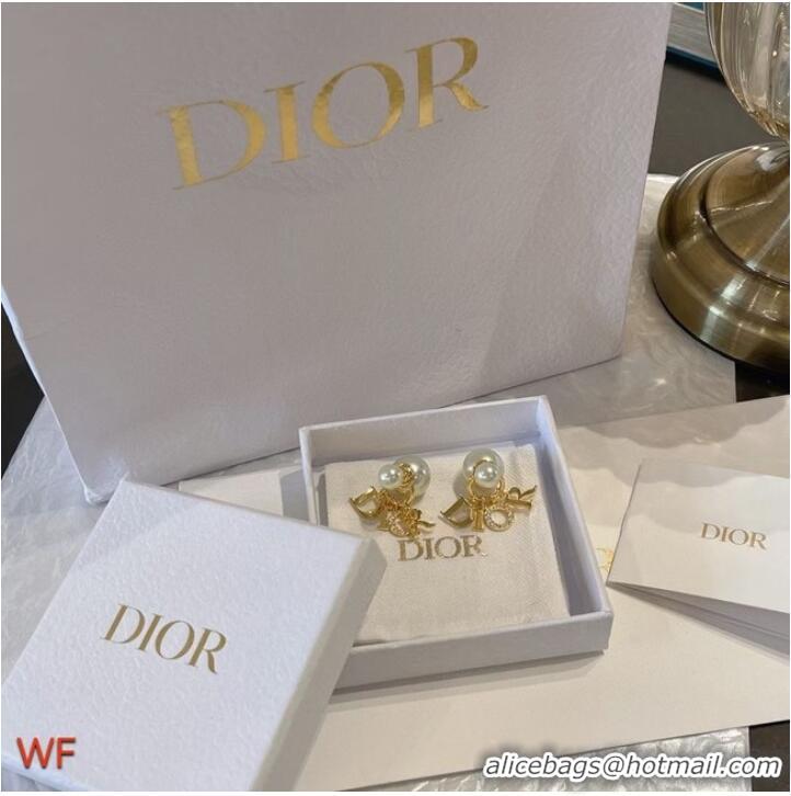 Top Grade Dior Earrings CE7501