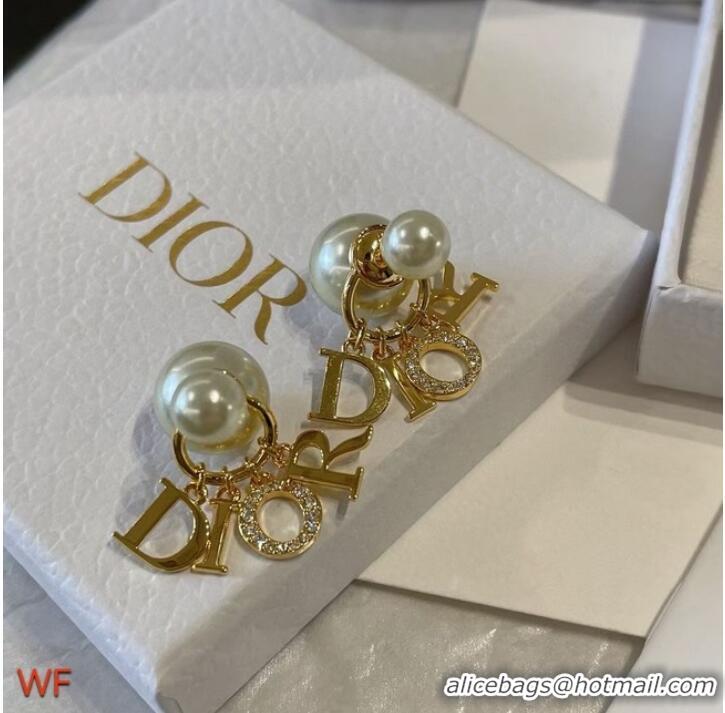 Top Grade Dior Earrings CE7501