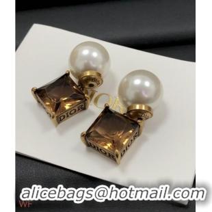 Famous Brand Cheap Dior Earrings CE7545