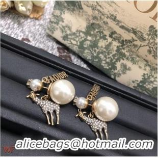 New Product Wholesale Dior Earrings CE7556