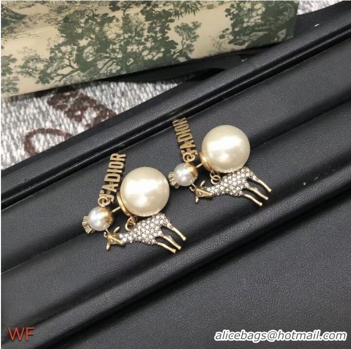 New Product Wholesale Dior Earrings CE7556