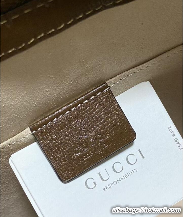 Famous Brand Gucci Ophidia pouch 647332 brown