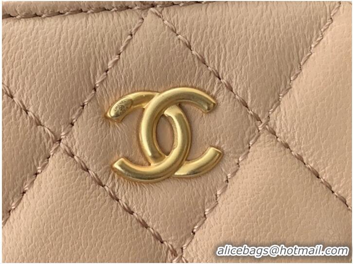 Fashion Promotional Chanel Lambskin camera bag AS2463 apricot