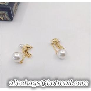 Buy Inexpensive Dior Earrings CE6841