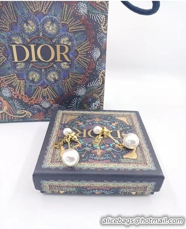 Buy Inexpensive Dior Earrings CE6841