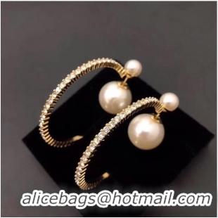 Good Quality Dior Earrings CE6842