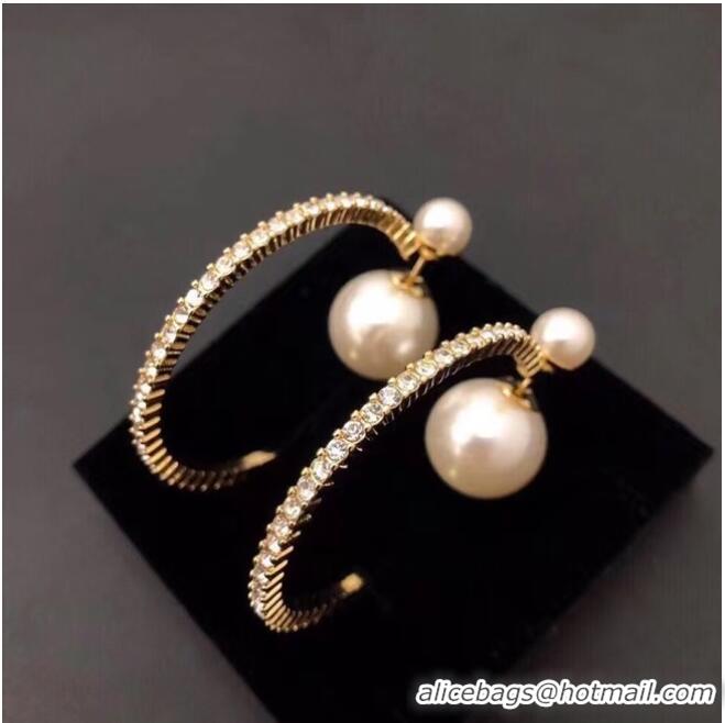 Good Quality Dior Earrings CE6842