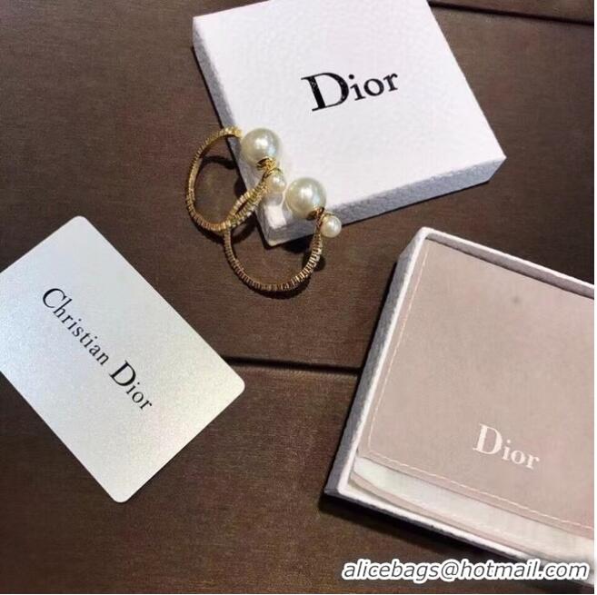 Good Quality Dior Earrings CE6842