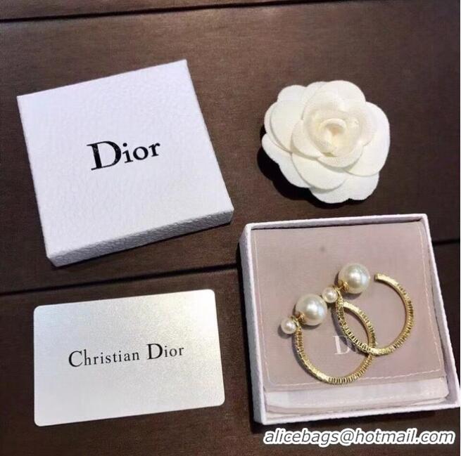 Good Quality Dior Earrings CE6842